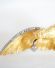 Antike Adler Brosche Frsten der Walachei 585/000 Gelbgold mit Diamanten B3677