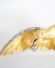 Antike Adler Brosche/Anhnger Belle Epoque 585/000 Gelbgold mit Diamanten B3677