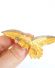 Antike Adler Brosche Frsten der Walachei 585/000 Gelbgold mit Diamanten B3677