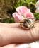 Antiker Biedermeier Ring mit Solitr Diamant 1,80ct 750 Gelbgold + Silber B3993