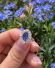 Antiker Ring der Belle Epoque mit Saphir + Diamanten in 750 Gelbgold + Platin B3012