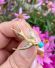 Antike victorianische Brosche 750 Gelbgold als Schwalbe um 1900 B4190