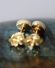 Hbsche vintage Ohrstecker aus 585/000 Gelbgold mit feinen Trkis B4229