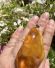Sehr grosser Anh�nger 750 Weissgold mit Butterscotch Bernstein B4460