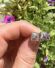 Vintage Ohrstecker aus 375/000 Weissgold mit Diamanten Art Deco Design B4462