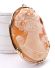 Grosser sch�ner vintage Anh�nger mit Gemme/ Kame� aus 585/000 Gelbgold B4508